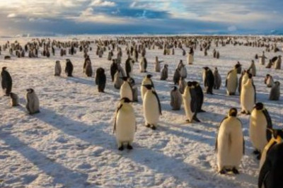 Good News For Penguins And Whales: The Antarctic Ross Sea Has Just Become The World's Largest Marine Reserve!